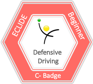 Defensive Driving Assessment