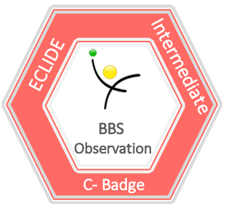 BBS Observation Assessment
